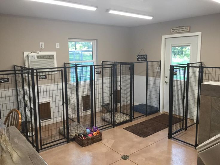 an indoor dog kennel with doors open to allow dogs to use the space for their food