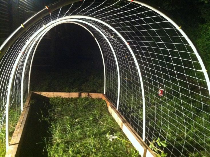 an outdoor garden tunnel is shown in the dark