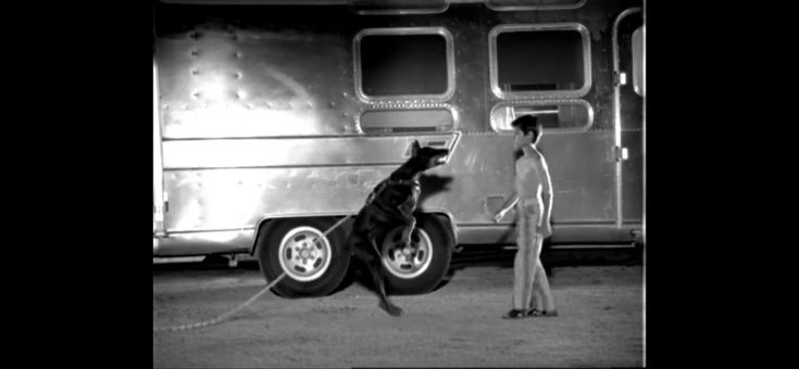 a woman standing next to a dog in front of a bus