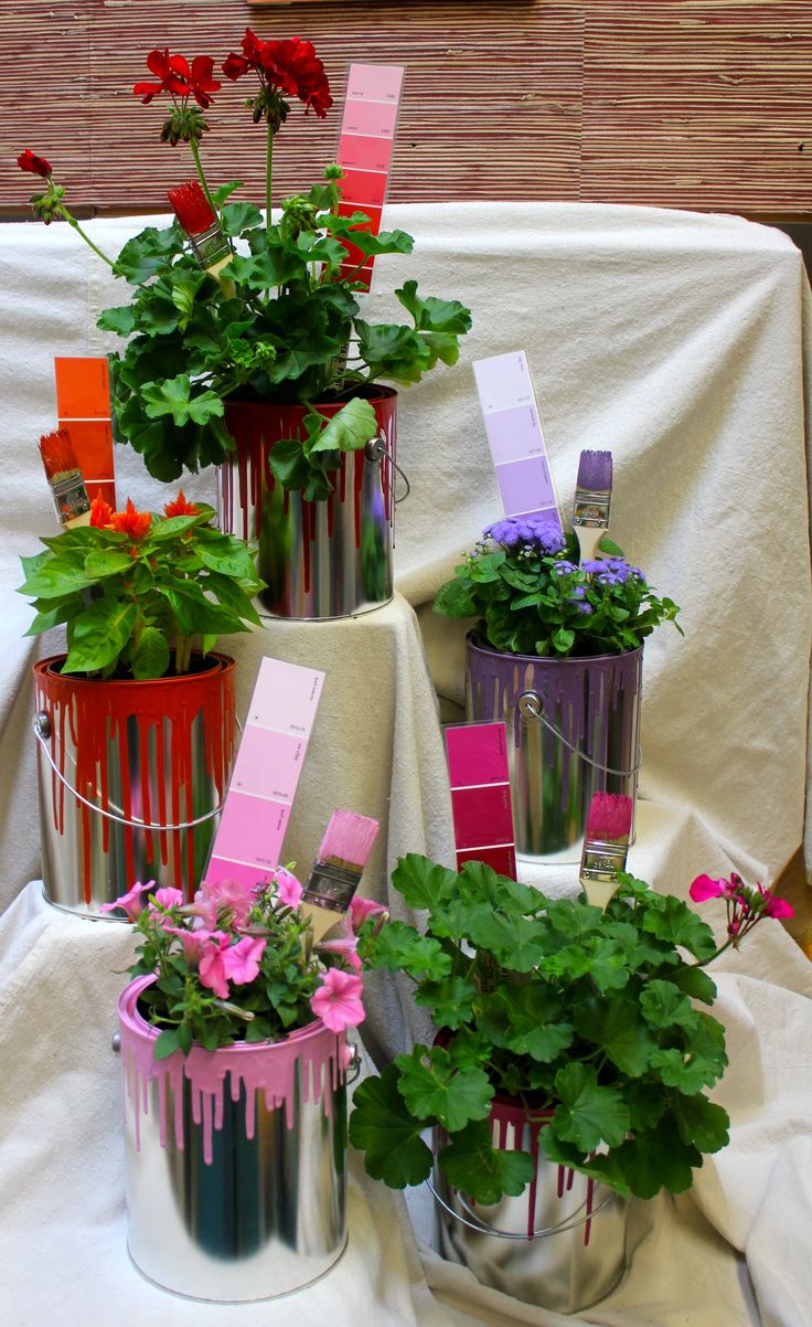 there are many potted plants that have been painted pink and purple with flowers in them