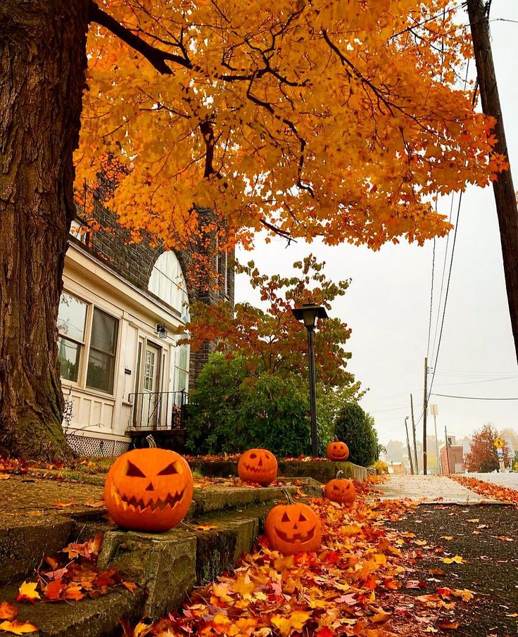 two pumpkins sitting on the steps in front of a house with fall leaves around them