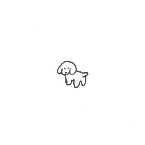 a black and white drawing of a dog on a white background with the outline of a poodle