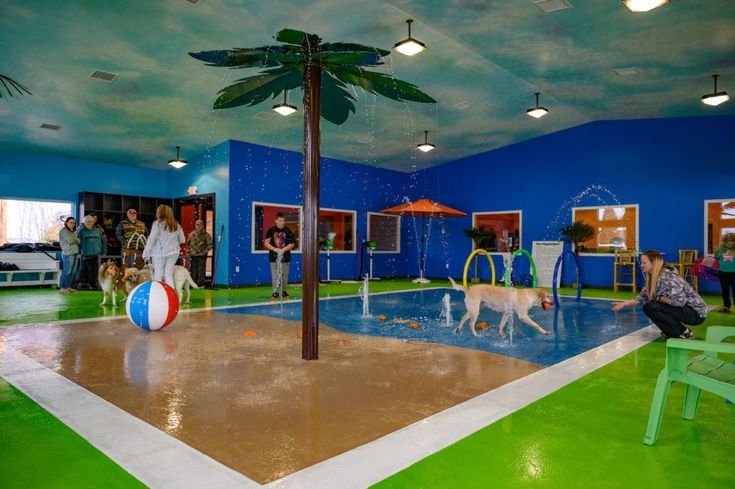 people and dogs are playing in an indoor pool with palm trees on either side of the pool