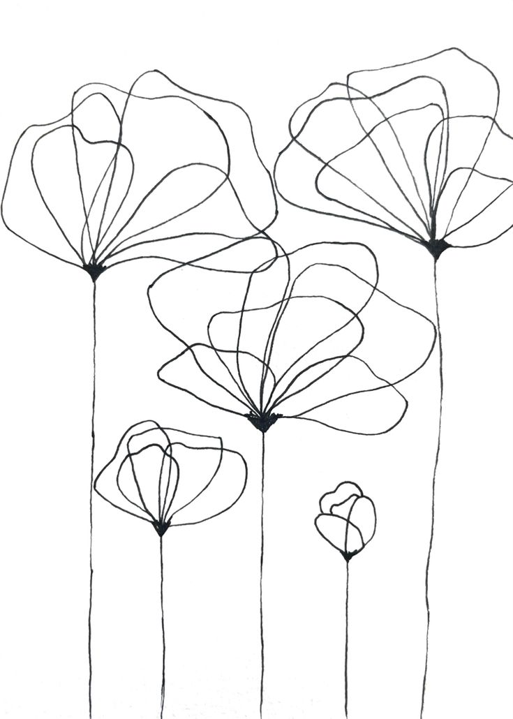 four flowers are shown in black and white, one is drawn on paper with lines