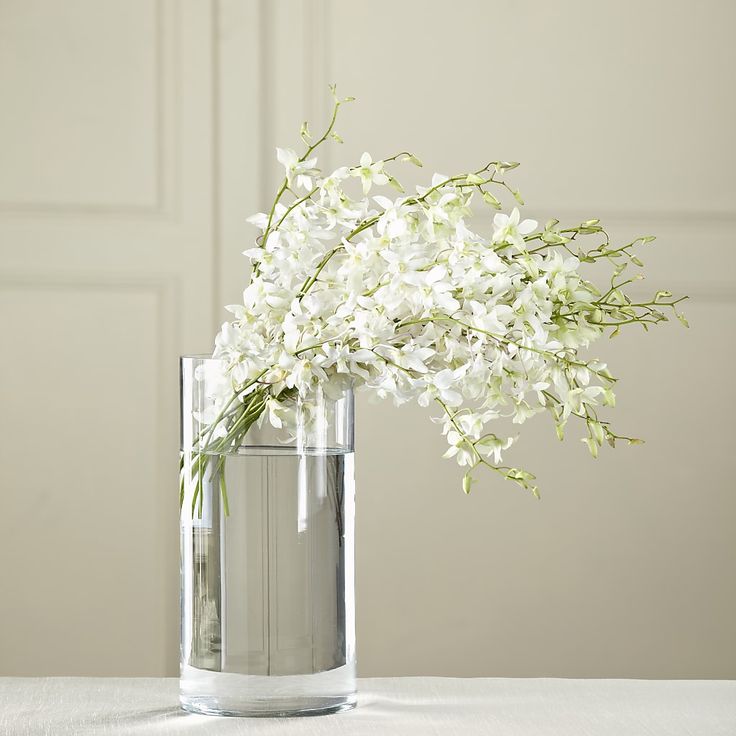 a glass vase with white flowers in it on top of a table next to a wall