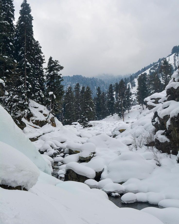 snow covered rocks and trees on the side of a snowy mountain stream with water running between them