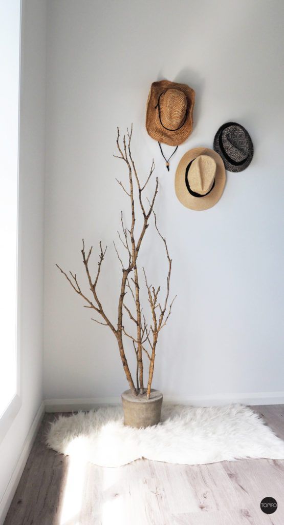 a white room with hats on the wall and a tree in the corner next to it