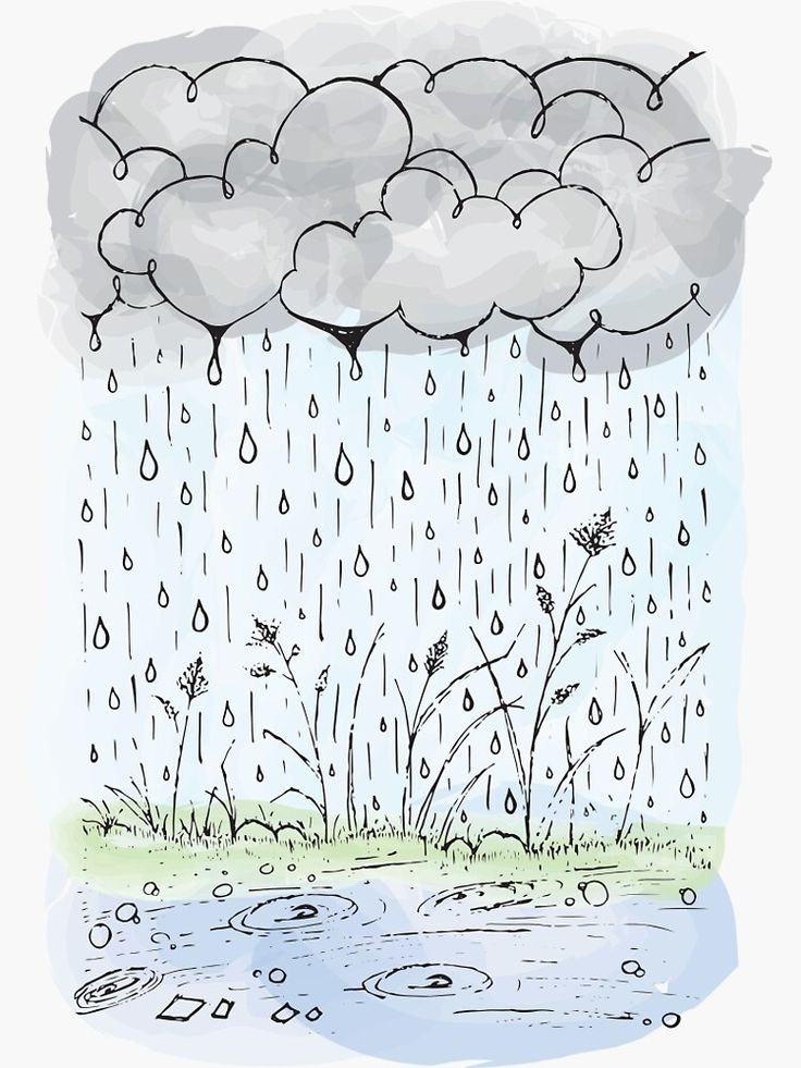 a drawing of rain falling from the sky over a pond with grass and flowers in it