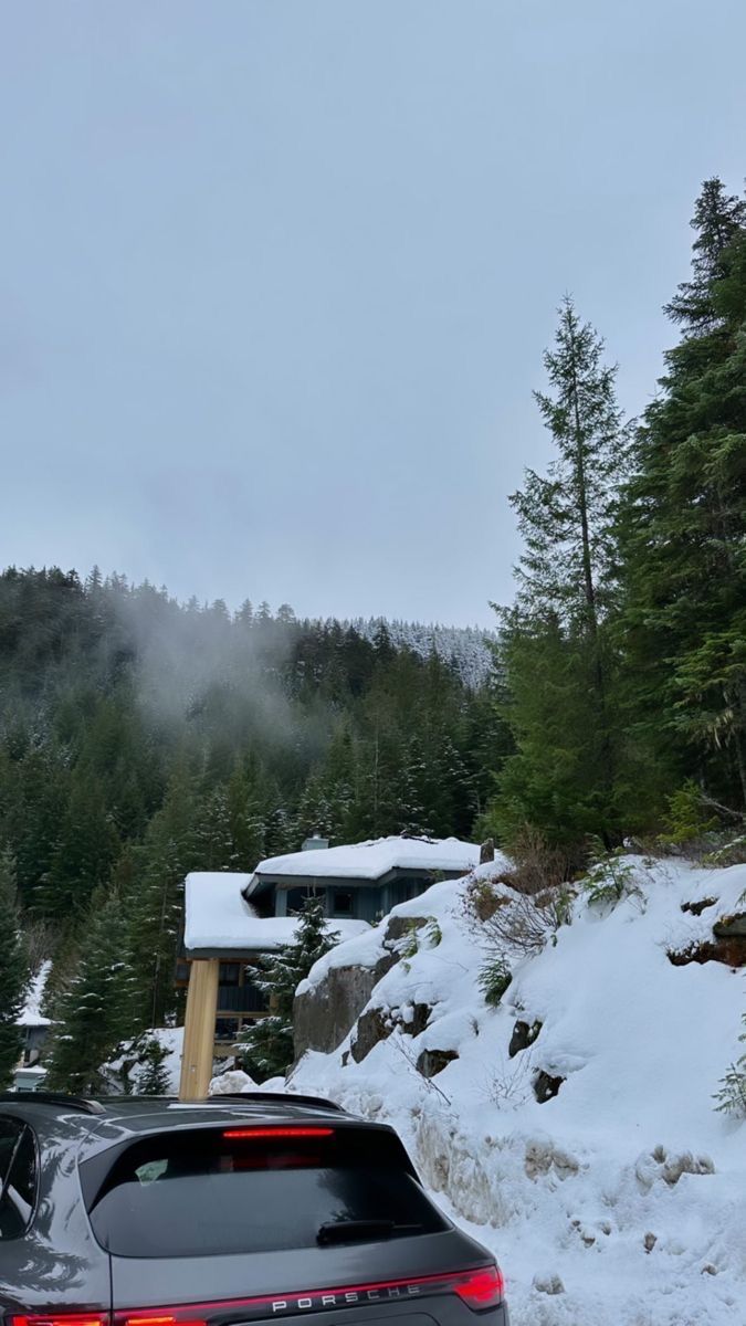 two cars parked on the side of a road in front of some snow covered trees