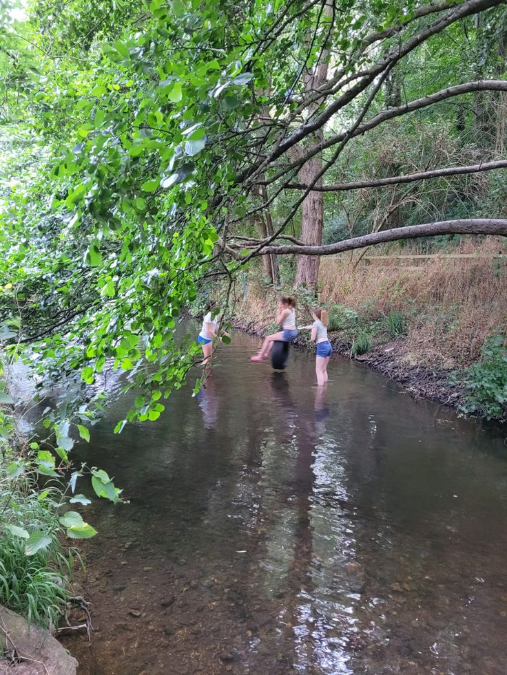 three children are playing in the water near some trees