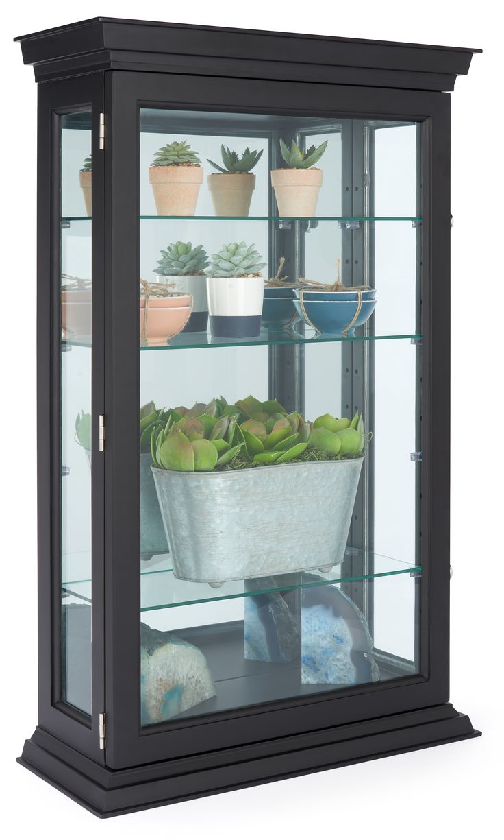 a glass display case with plants in it