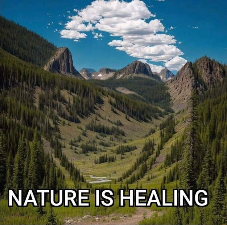 the words nature is healing are in front of a mountain landscape with pine trees