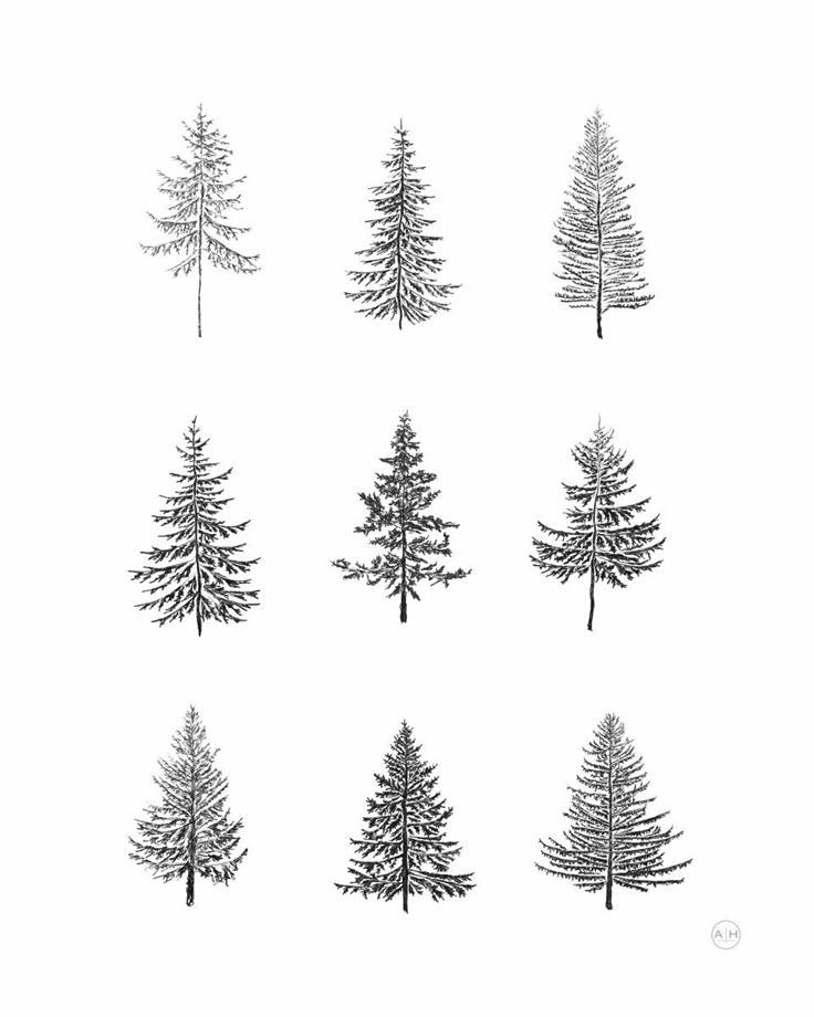 Minimalist Trees Evergreen Tattoo, Doodle Trees, Small Nature Tattoo, Evergreen Tree Tattoo, Simple Tree Tattoo, Pine Tattoo, Pine Tree Drawing, Trees Clipart, Pine Tree Tattoo