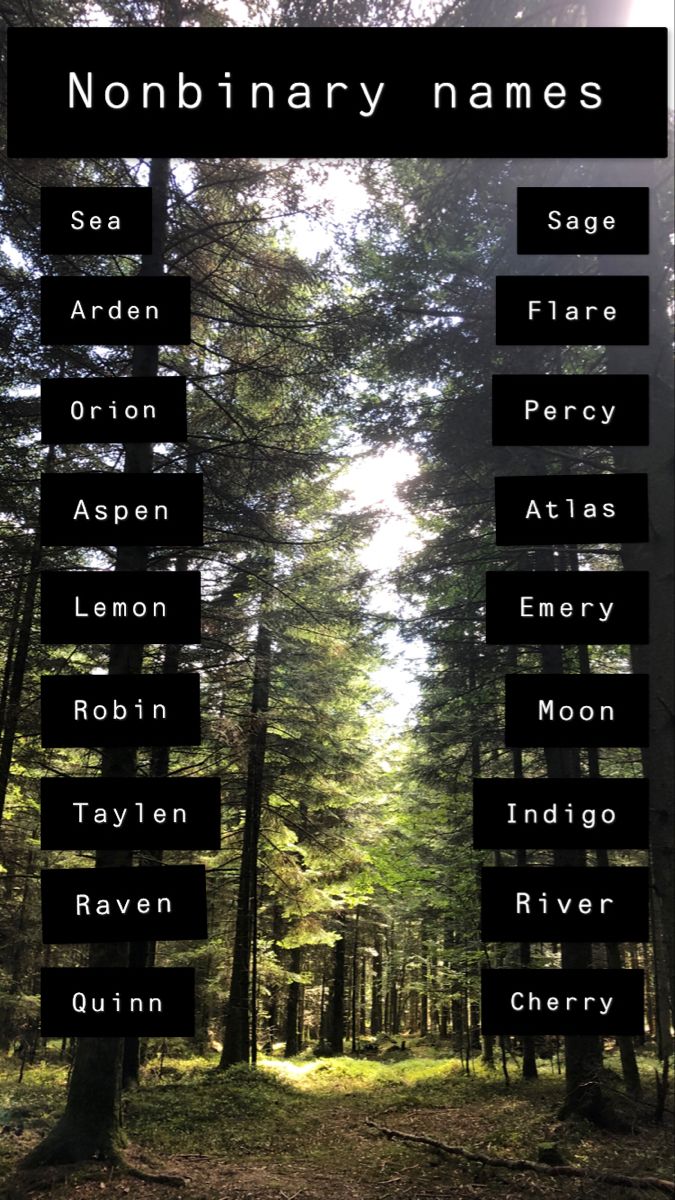 an image of a forest with trees and names in the middle, including names for each name