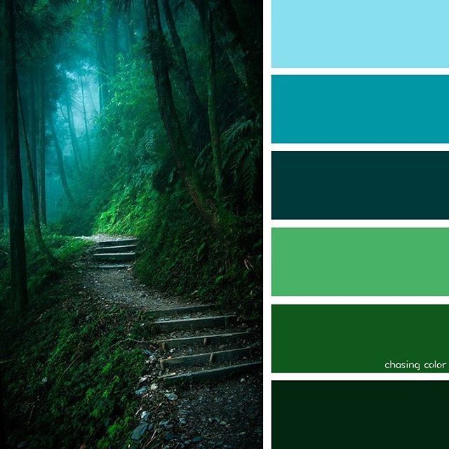 Shades Of A Forest Walkway (Photo Credit • 500px.com/gpx2000) # ...