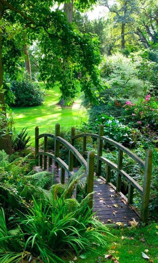 a wooden bridge in the middle of a lush green park