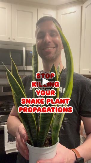 a man holding a potted plant with the words stop killing your snake plant propagandas