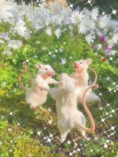 two white mice playing with each other in front of some flowers and grass, surrounded by sparkles