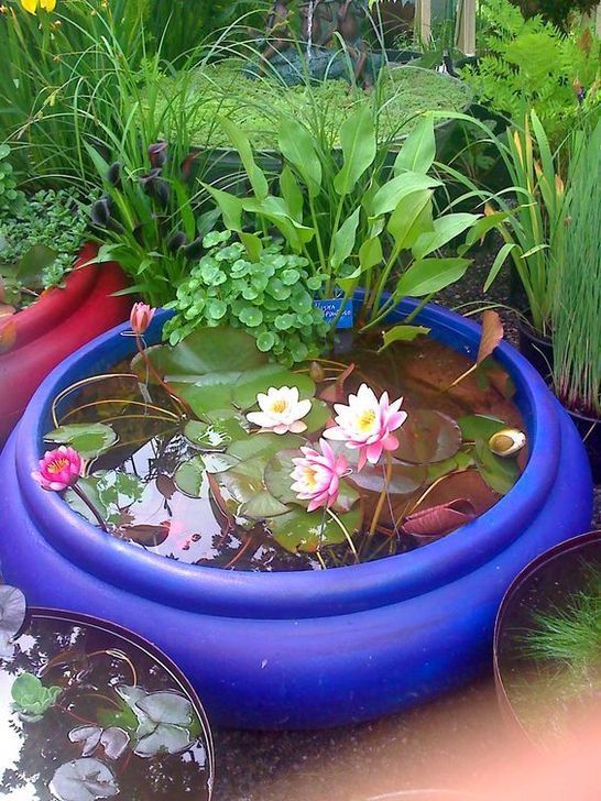 48 Brilliant Indoor Fish Pond Design Ideas For Small Spaces To Have