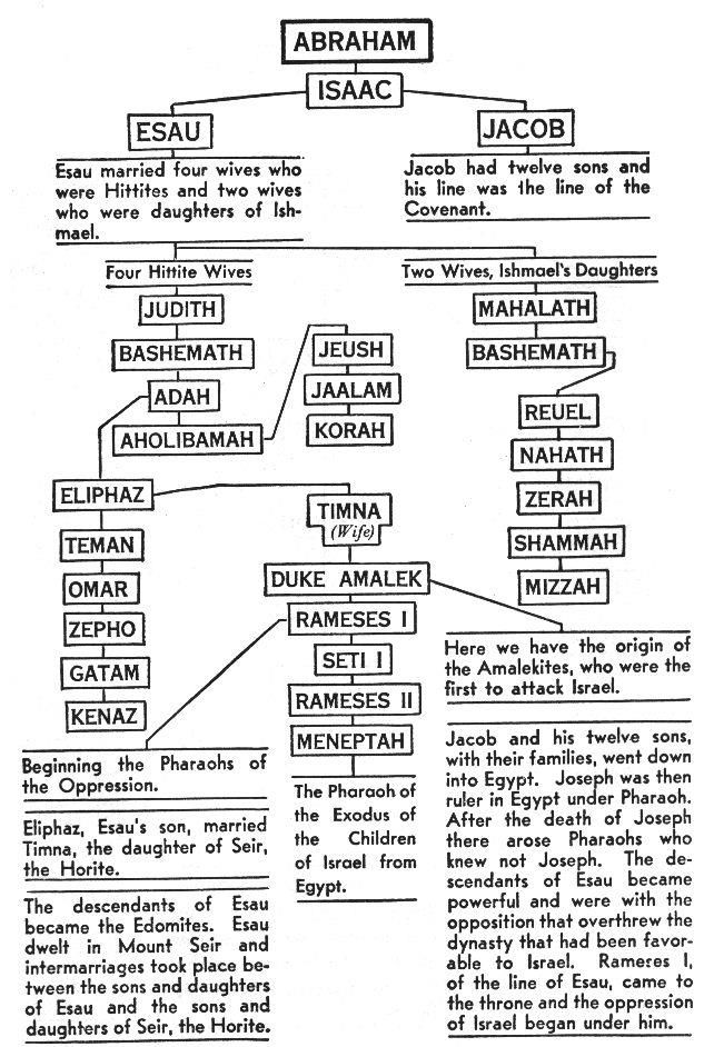 the family tree for abraham and elizabeth