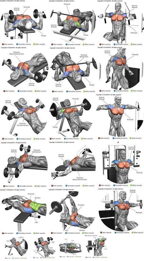 the muscles and their functions are shown in this diagram, which shows how they work