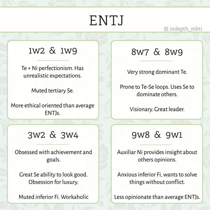 Enneagram Type One, Entj Personality, Philosophy Theories, Intp Personality Type, Mbti Memes, Intp Personality, Mbti Character, Myers–briggs Type Indicator, Myers Briggs Type