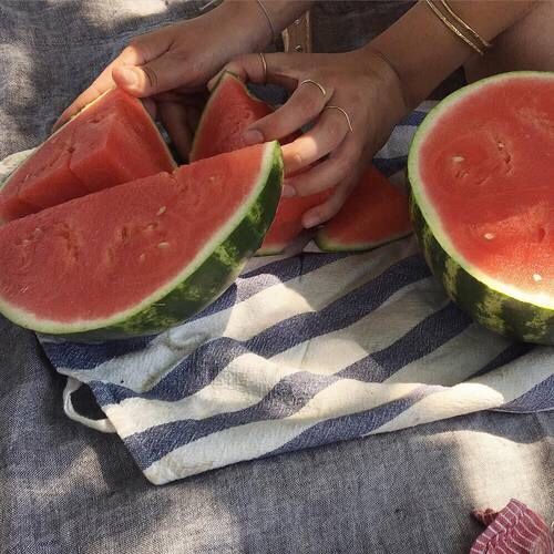 @𝘦𝘮𝘮𝘪𝘦𝘭𝘰𝘶𝘪𝘴𝘦 ☽ Italian Summer, Summer Feeling, Summer Dream, Pavlova, Pretty Food, Vitamin D, Aesthetic Food, Summer Aesthetic, Good Eats