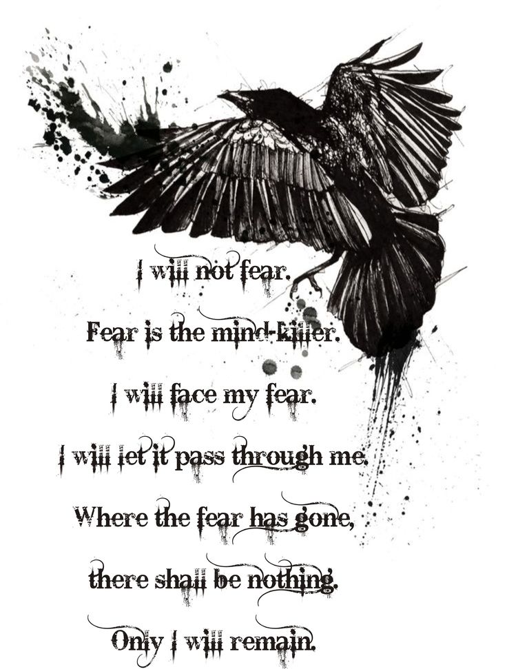 a black and white drawing of a bird flying over it's wings with the words i will not fear