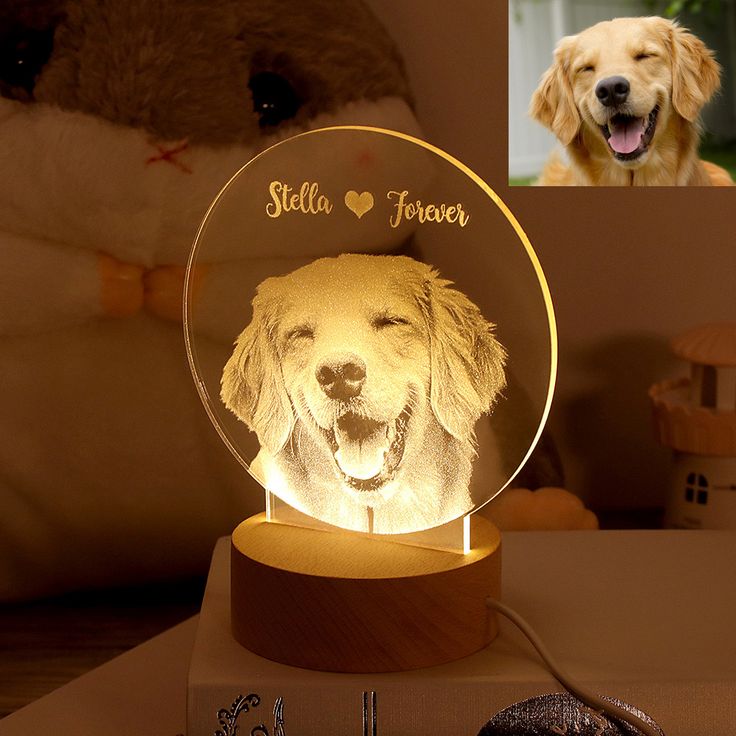 a golden retriever dog is shown in front of a photo with the name stella forever on it