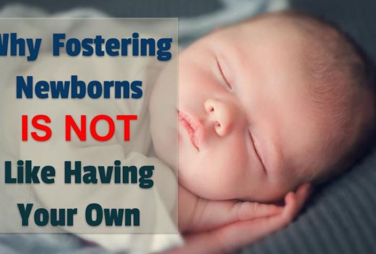 a baby sleeping on top of a blanket with the words why fostering newborns is not like having your own