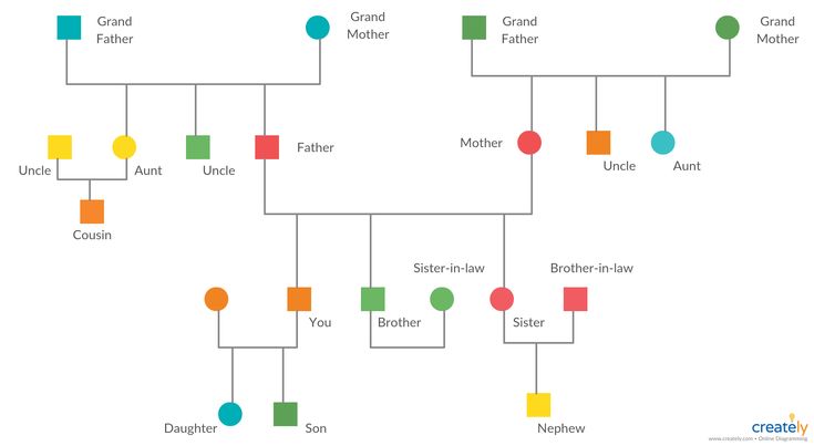 a family tree is shown with different colors