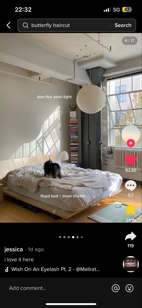 a cat sitting on top of a bed in a bedroom next to a large window