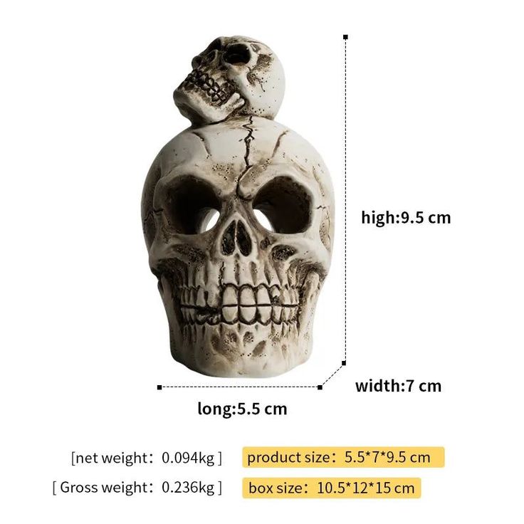 an image of a skull with a human head on it's back and measurements