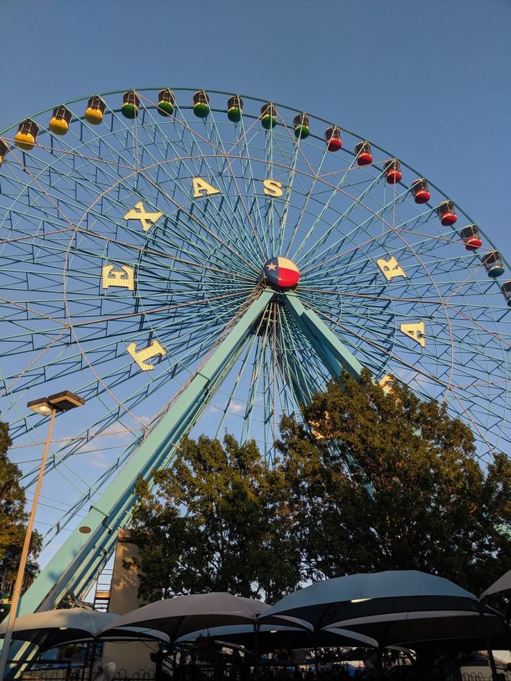 a ferris wheel in the middle of an amusement park