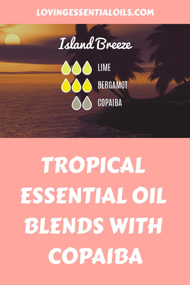 Tropical Essential Oil Blends with Copaiba: Try our Island Breeze Diffuser Blend with lime and bergamot Lime Essential Oil Blends, Copaiba Diffuser Blends, Essential Oil Diffuser Benefits, Diffuser Benefits, Copaiba Essential Oil, Calming Environment, Mood Stabilizer, Diy Essential Oil Recipes, Island Breeze