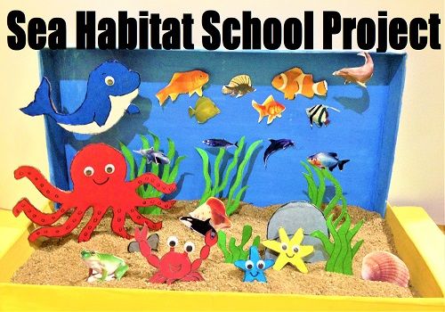 an ocean themed school project with sea animals and fish in the sand, on top of a yellow box