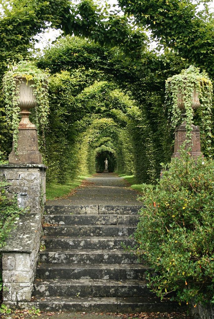 an archway covered in vines and ivys leads to the entrance to a stone pathway