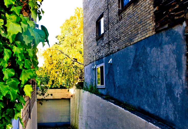 a narrow alley way between two buildings with trees in the back ground and bushes growing on either side