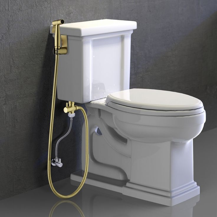 a white toilet sitting in a bathroom next to a wall mounted shower head and hose