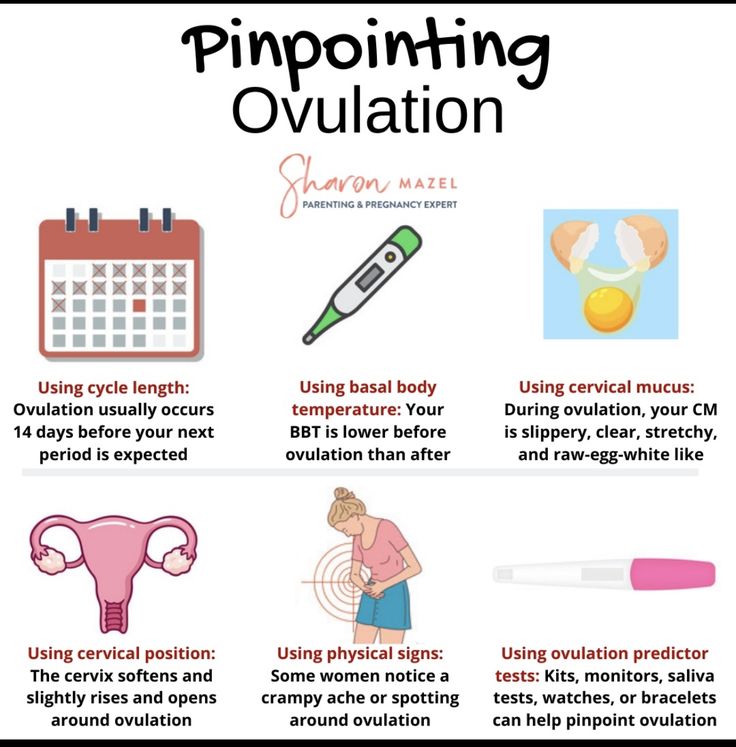 Ovulation Tracking, Getting Pregnant Tips, How To Conceive, Cervical Mucus, Womb Healing, Healthy Pregnancy Tips, Pregnancy Info, Fertility Health, Health Guru