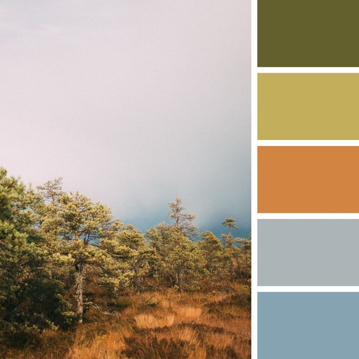 an image of a field with trees and grass in the foreground, color swatches below