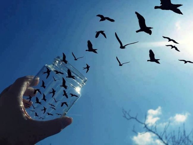 a person is holding a jar with birds in it and the sun shining through the sky