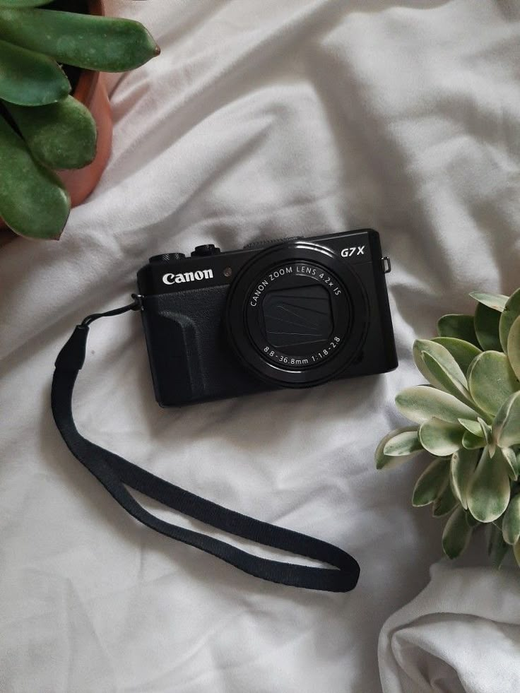 a camera sitting on top of a bed next to a plant