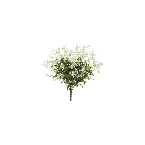 a bouquet of white flowers on a white background