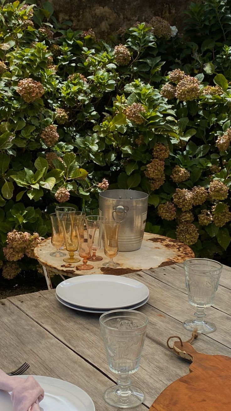 an outdoor table with plates, glasses and utensils set on it in front of shrubbery