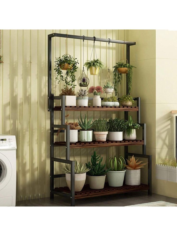 a shelf filled with potted plants next to a washer and dryer in a room