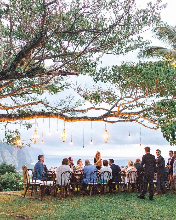 a group of people sitting around a table under a tree with lights hanging from it