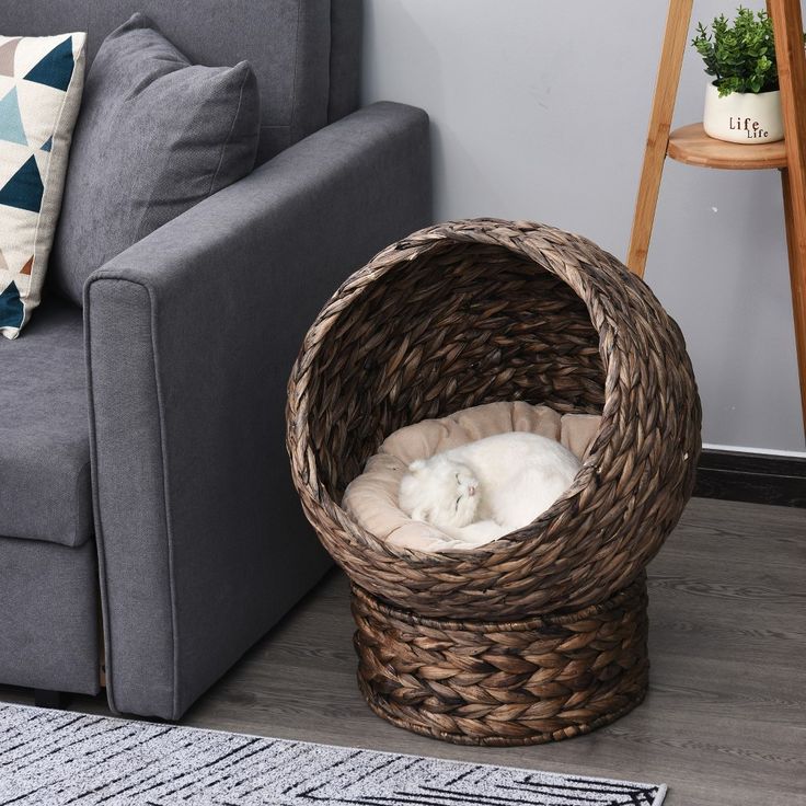 a cat curled up in a wicker basket on the floor next to a couch