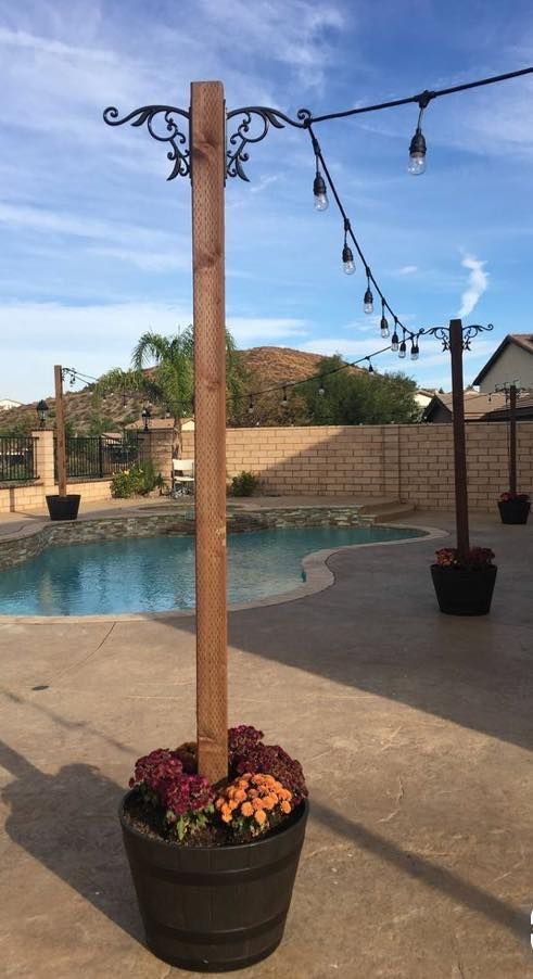 a potted plant sitting next to a pool with string lights hanging from it's sides