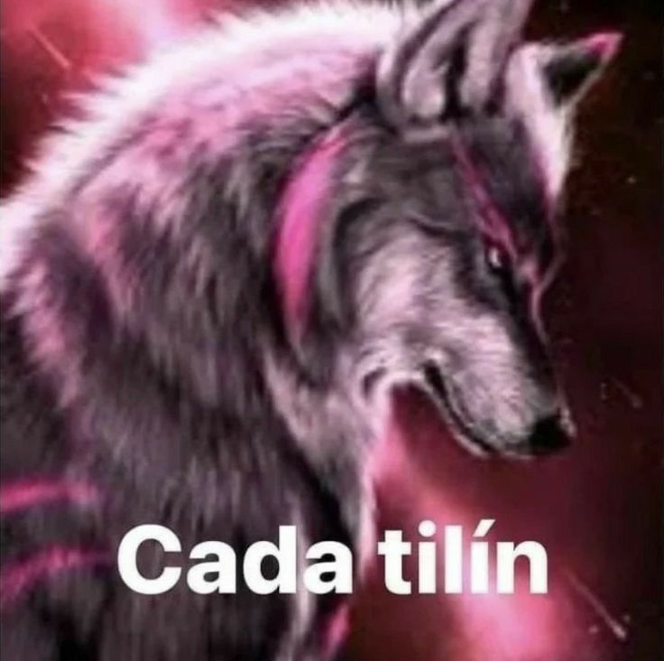 an image of a wolf with the words cada tilin